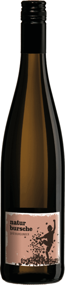 Landgraf Spätburgunder Naturbursche Rheinhessen Qualitätswein 2025  0.75 L Flasche