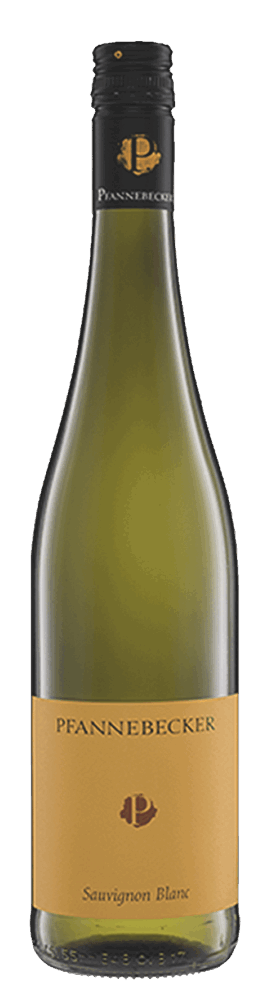 Pfannebecker Sauvignon Blanc 2025  0.75 L Flasche