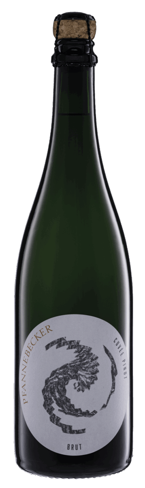 Pfannebecker Sekt Cuveé Pinot Brut 2022  0.75 L Flasche