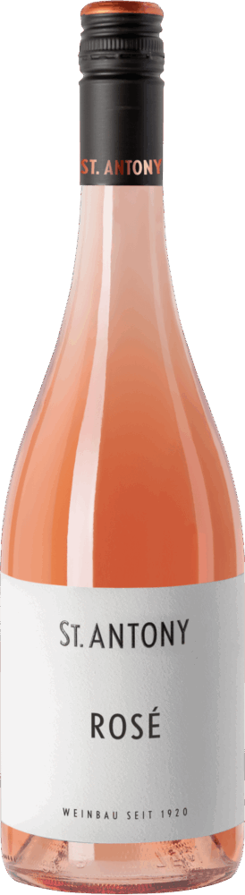 St. Antony P Rosé Reserve Rheinhessen 2025  0.75 L Flasche