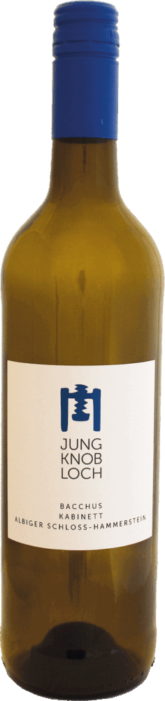 Jung & Knobloch Albiger Schloss Hammerstein Bacchus Kabinett (Lieblich) 2024  0.75 L Flasche