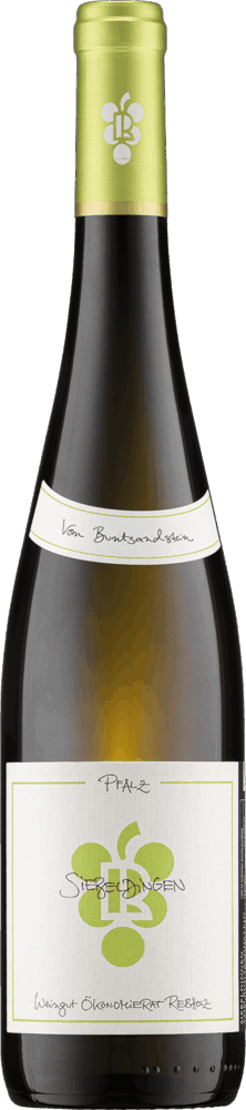 Ökonomierat Rebholz Siebeldinger Riesling Vom Buntsandstein 2024  0.75 L Flasche