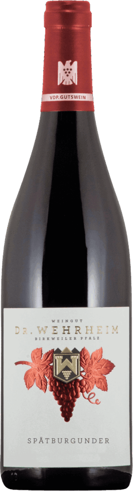 Spätburgunder / Pinot Noir Tr
