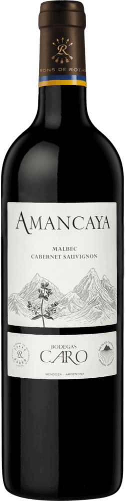Caro Amancaya Mendoza 2021  0.75 L Flasche