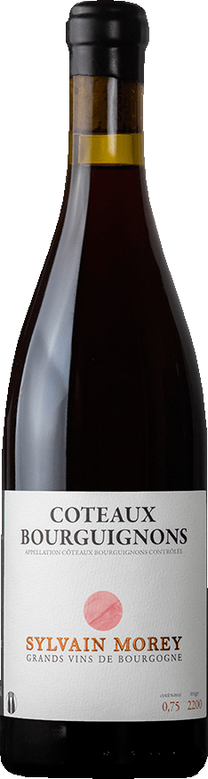 Domaine Sylvain Morey Coteaux Bourguignons 2023  0.75 L Flasche