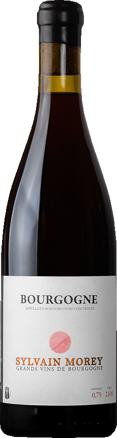 Domaine Sylvain Morey Bourgogne Rouge 2022  0.75 L Flasche
