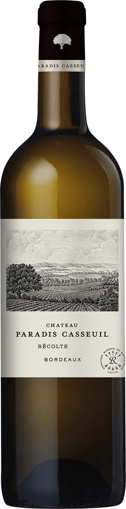 Domaines Barons de Rothschild (Lafite) Château Paradis Casseuil Blanc 2024  0.75 L Flasche