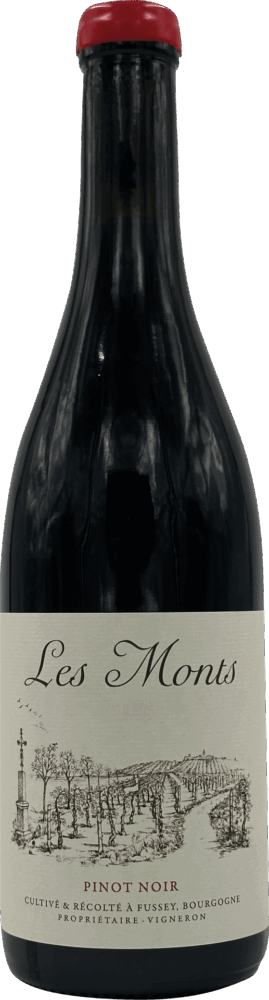 Les Monts Bourgogne Hautes Côtes de Beaune Rouge 2023  0.75 L Flasche