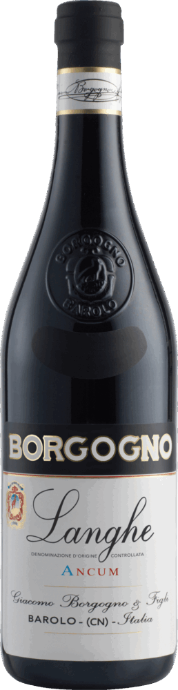 Borgogno Langhe Ancum Dolcetto 2021  0.75 L Flasche