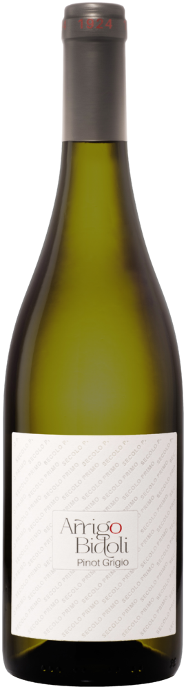 Bidoli Vini Arrigo  1924 Pinot Grigio Friuli Doc Grave 2025  0.75 L Flasche