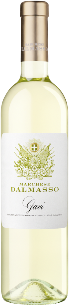 Gavi Docg