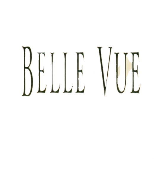 Chateau Belle-Vue Belle Vue 2019  0.75 L Flasche