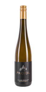 Proidl Franz Grüner Veltliner Generation X Kremstal 2019  0.75 L Flasche