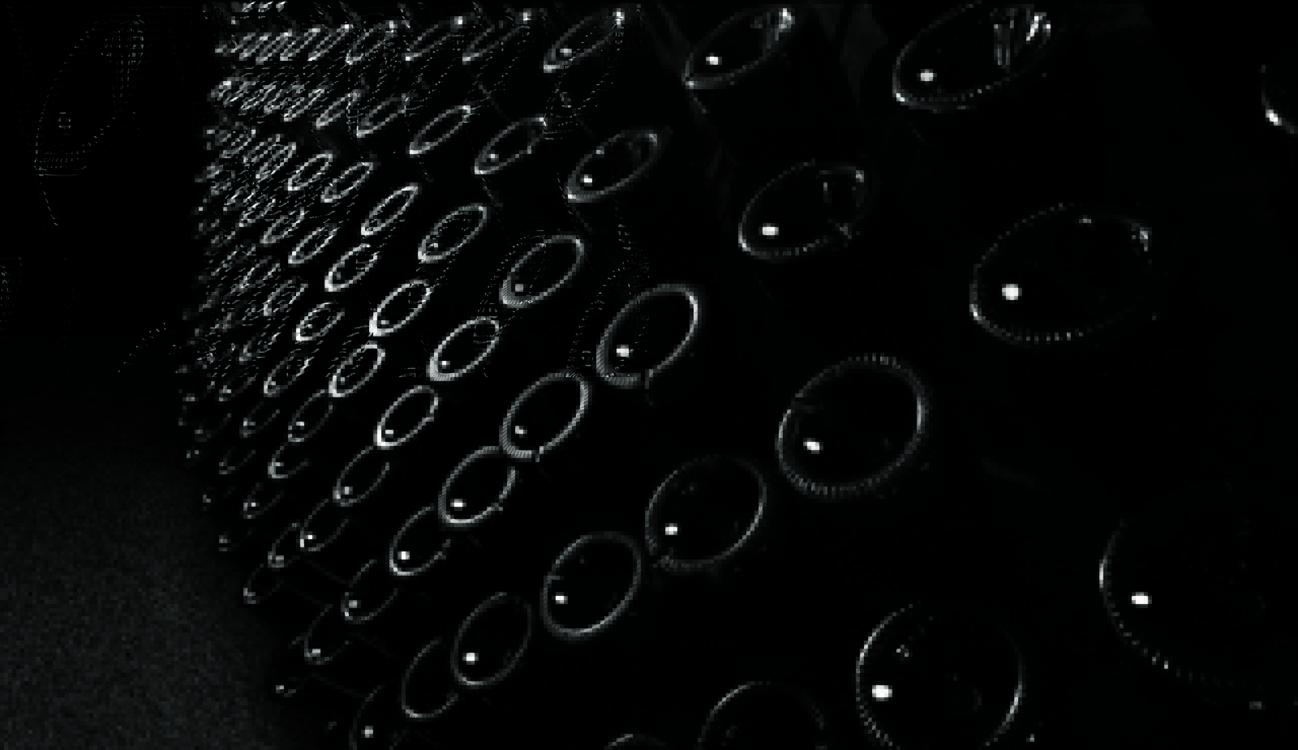 Weingut Bellavista