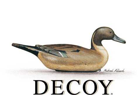 Decoy