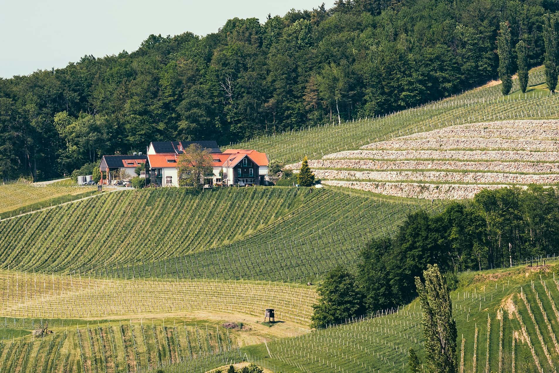 Weingut Weingut Gross