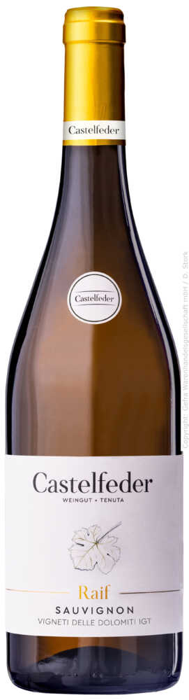 Castelfeder Sauvignon Raif I.G.T. (Vigneti Delle Dolomiti 2025  0.75 L Flasche