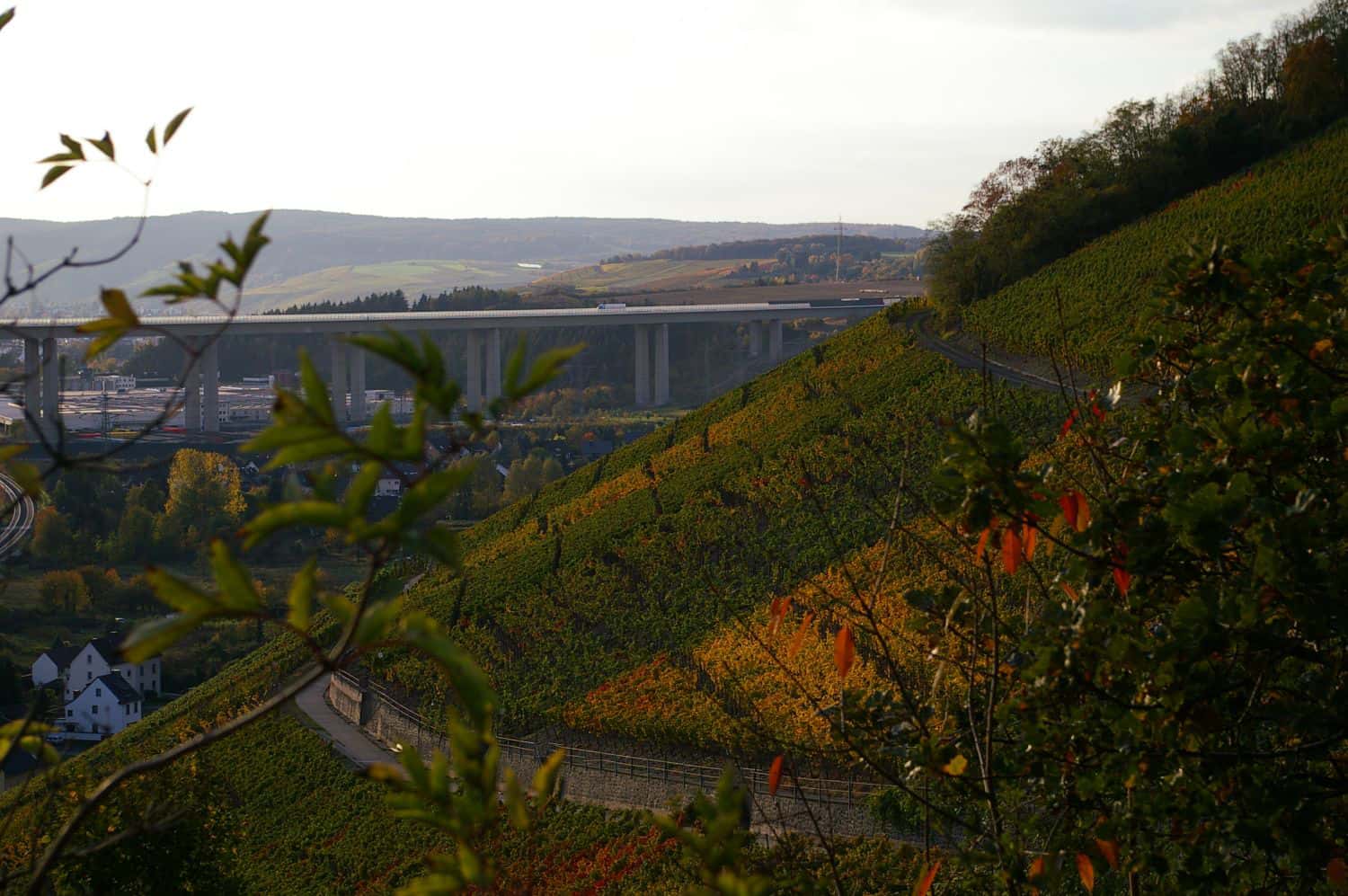 Weingut Weingut Nelles