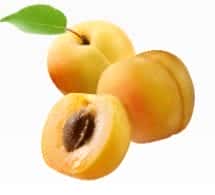 Aprikose 