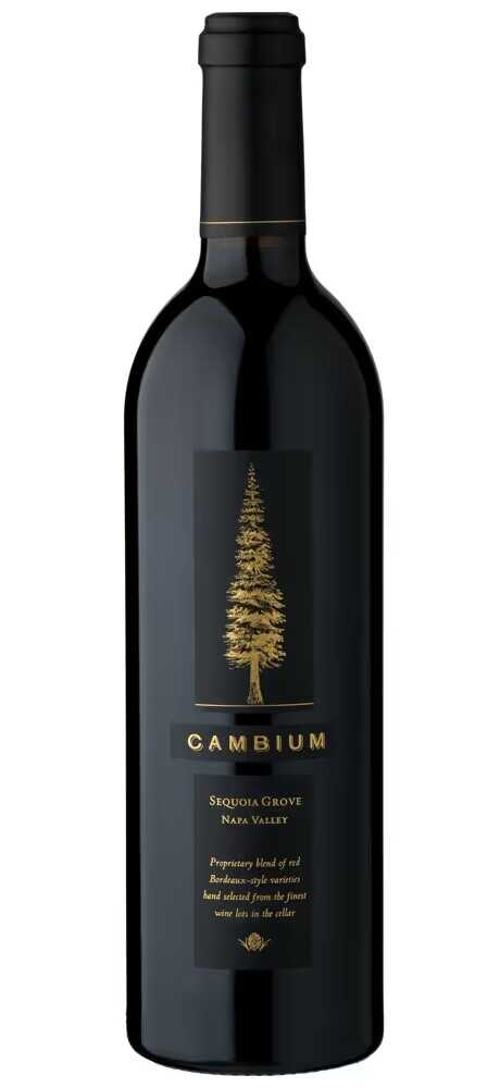 Cambium