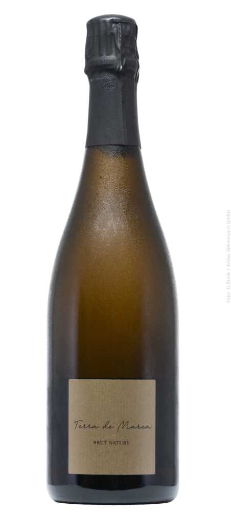 Cava  Brut Nature Vintage