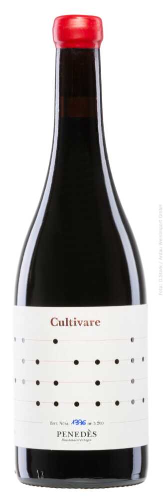 Cultivare - Vallformosa Cultivare  Vallformosa 2021  0.75 L Flasche