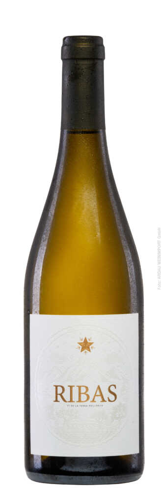 Bodegas Ribas Blanc 2024  0.75 L Flasche