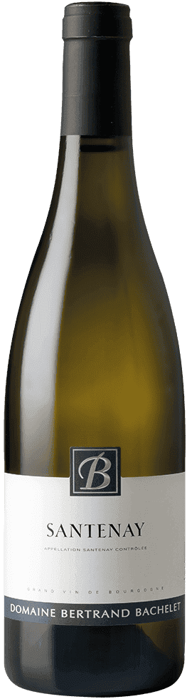Bertrand Bachelet Santenay 2021  0.75 L Flasche