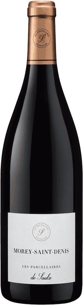 Les Parcellaires de Saulx Morey-Saint-Denis 2020  0.75 L Flasche