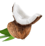 Kokos 