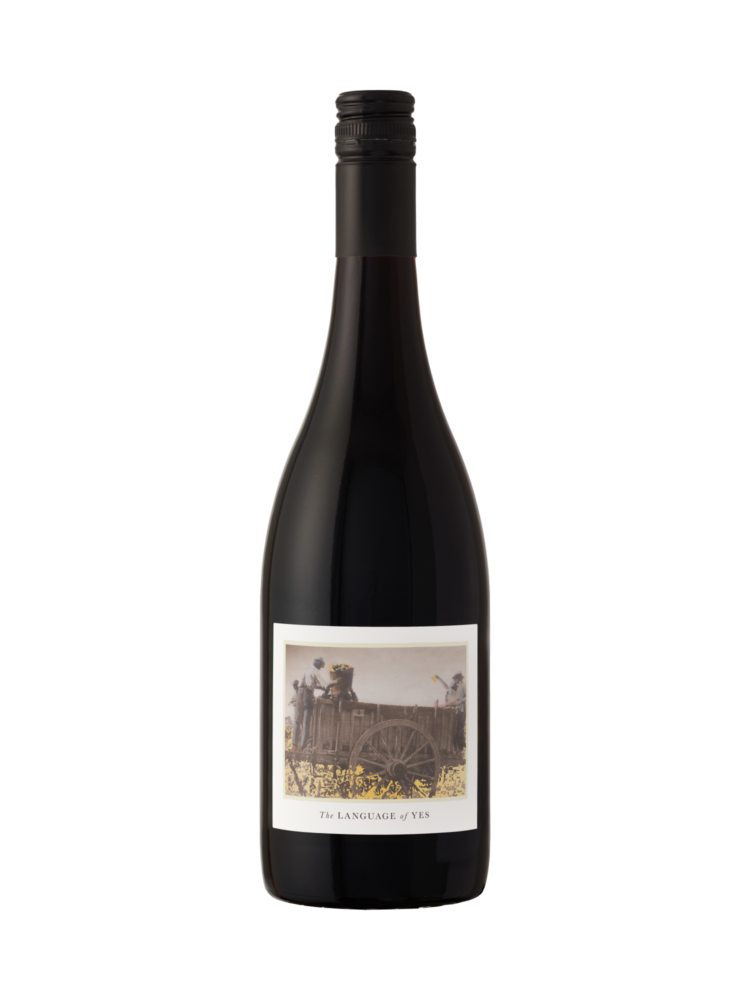 The Language of Yes Syrah 2022  0.75 L Flasche