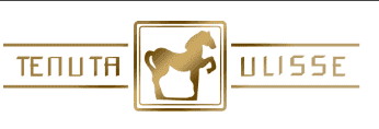 Weingut Ulisse Logo