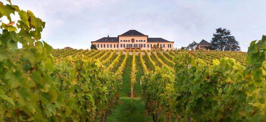 Weingut Univitis
